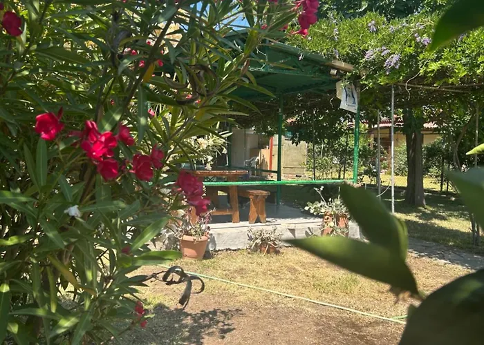 Kiki House * Nea Poteidaia