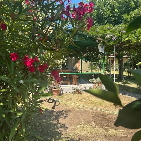 Kiki House * נאה פוטידאה