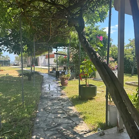 Kiki House *