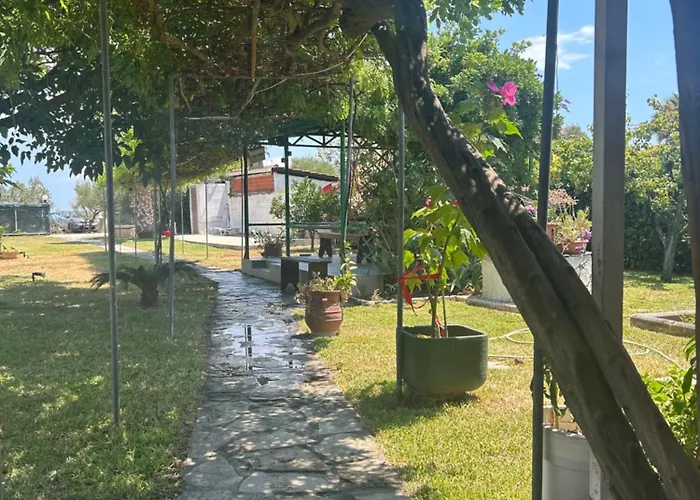 Kiki House *